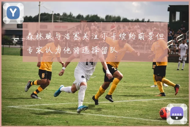 森林狼与活塞关注小卡续约前景但专家认为他将选择留队