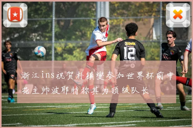 浙江ins祝贺朴镇燮参加世界杯前申花主帅波耶特称其为顶级队长